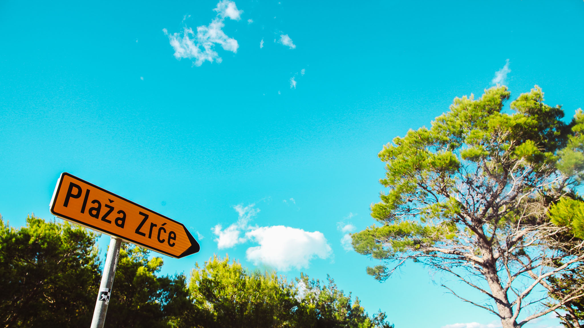 pag island novalja zrce beach croatia Dino Ninkovic 2