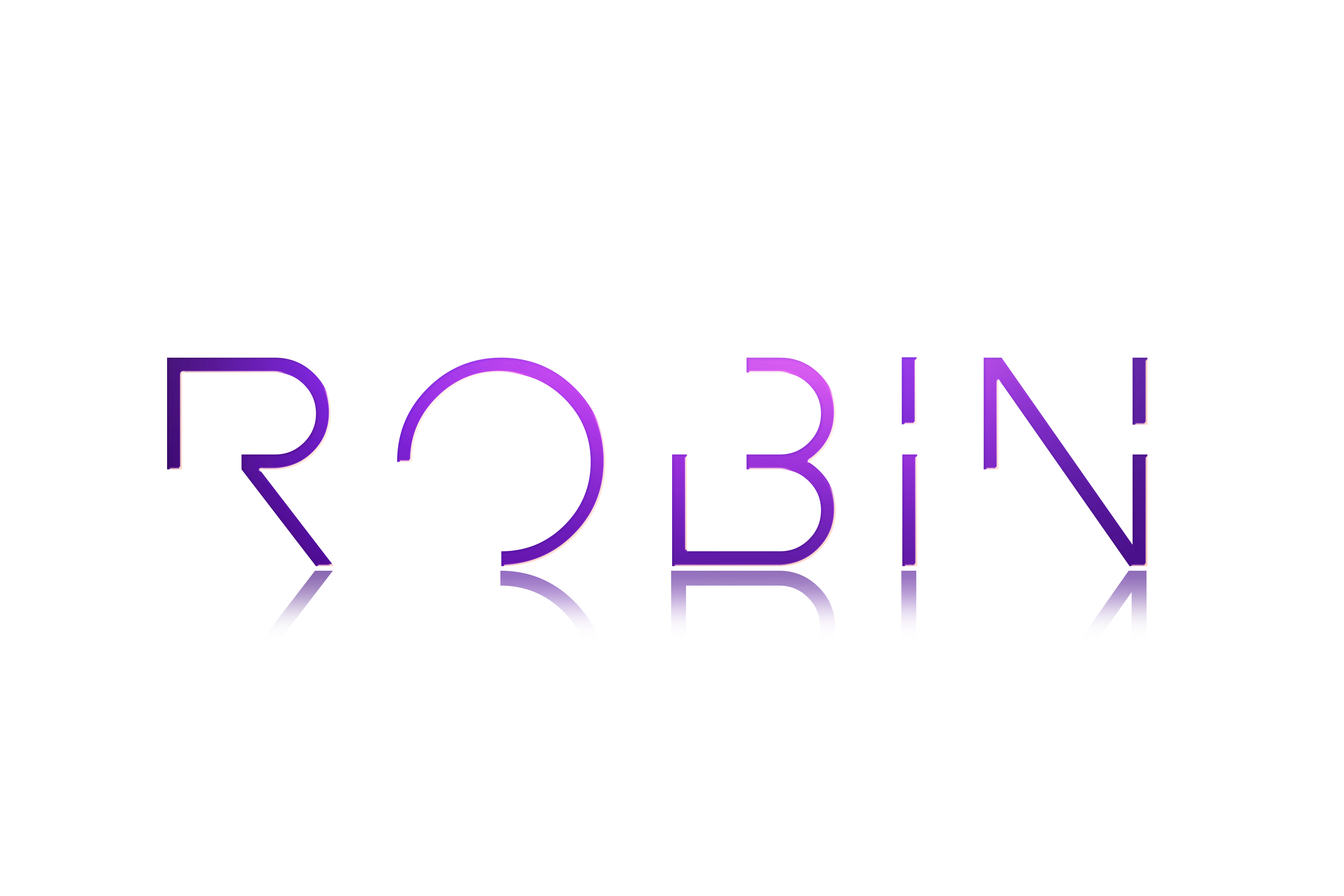 DJ Robin