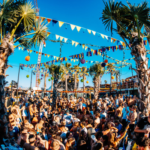 Papaya pool party